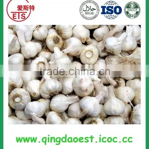 Jinxiang Garlic Contact me thumbnail-6