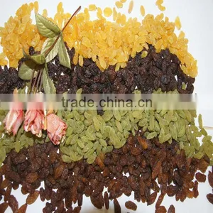 Kinds of China Origin Raisins thumbnail-1