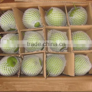Fresh Early Su Pear Sweet Pear Exporter in China thumbnail-4