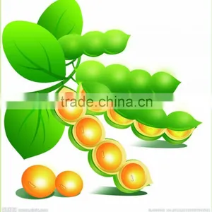 GMP Natural High Quality Phosphatidylserine(PS) From Soybean Extract thumbnail-2