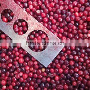 Frozen Lingonberry thumbnail-1