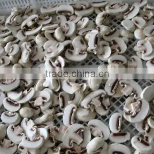 Frozen Delicate Champignon Mushroom/white Button Mushroom thumbnail-3