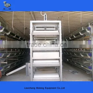 China Sell Automatic Poultry Comericial Cage for Romania thumbnail-1