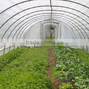 Greenhouse Lightweight Top Roofing Material thumbnail-1