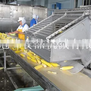 Frozen Sweet Corn Freezing Production Line for Industrial Use thumbnail-4
