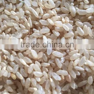 Grain Polisher thumbnail-5
