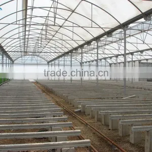 BaoLiDa Large Multi-span Greenhouse Easily Installed PC Sheet Covered Greenhouse thumbnail-5