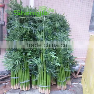 SJLJ013573 Artificial Evergreen Plant and Tree Fake Plastic Bamboo Stick thumbnail-2
