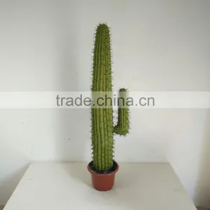 SJ3001009 High Imitation Cactus Plant/indoor Decoration Cactus Plant thumbnail-2