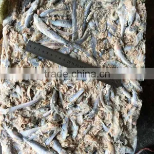 Fresh Frozen Small Anchovy thumbnail-2