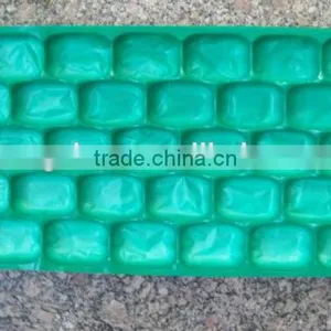Golden Supplier Fruit Blister Packaging With Exporting Standard thumbnail-1