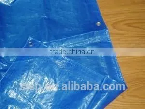 Reinfored Edge Tarpaulin Blue Color, pe Tarp 100% Pure Material thumbnail-1