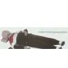 Model of Heart-lung Resuscitation thumbnail-1