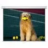 Manual Projector Screen thumbnail-1