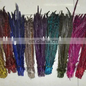 Pheasant Colorful Feather, Chicken Feather thumbnail-1