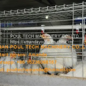 Vietnam Poultry Farm A Type Battery Broiler Cage System & Chicken Cage & to Improve Chicken Meat Production thumbnail-1