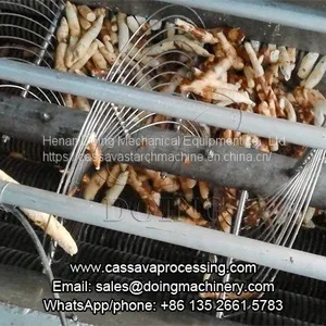 Garr Making Machine in Garri Processing Line thumbnail-2