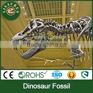 Lisaurus-0183 Dinosaur Fossil as Educational Equipment Quality Choice thumbnail-1