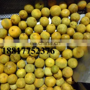 High Efficiency Lime Skin Oil Processing Machine thumbnail-2