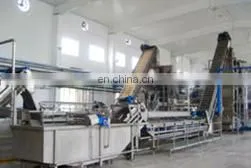 Raspberry Strawberry Juice Processing Machine/Hot Filling Machine thumbnail-3