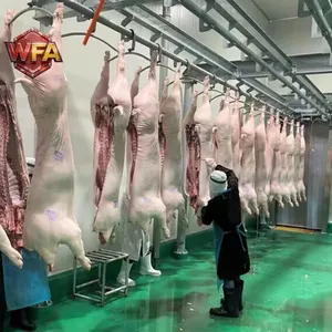 HACCP Pig Swine Slaughterhouse Line Abattoir Machine Meat Processing Plants Industrial Slaughterhouse Machinery Installation thumbnail-3