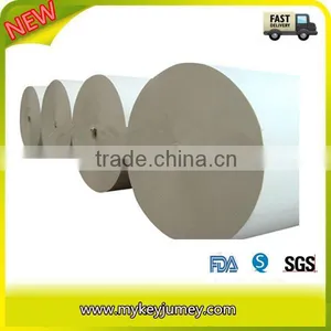 Single Sided PE Coated Paper Roll thumbnail-1