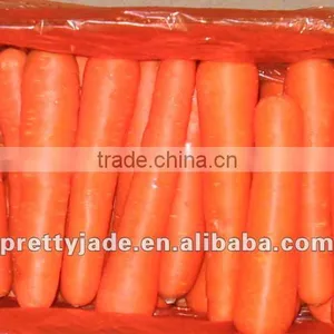 2014 New Chinese Fresh Carrot thumbnail-1