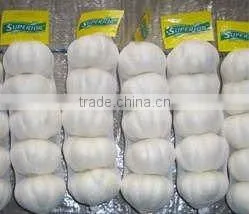 New Crop Jinxiang Pure White Garlic thumbnail-1
