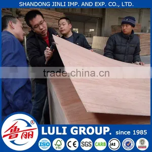 Hot Sale Door Skin Plywood thumbnail-5