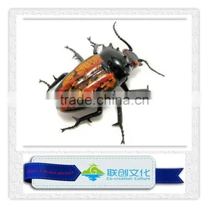 Simulation Mechanical Foam Insect Model thumbnail-2
