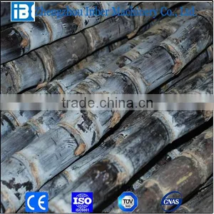 Sugarcane Squeezing Machine|Sugar Cane Juicer Machine Price thumbnail-3