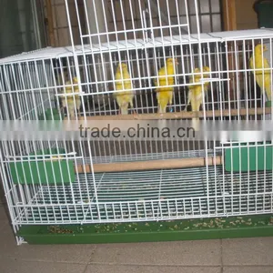 Bird Cage thumbnail-6