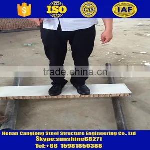 Honeycomb Paper Board fo Rsteel Buildings Cladding thumbnail-4
