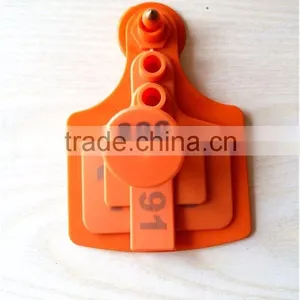 Orange Adult Cattle Ear Tag/calf Ear Tag thumbnail-2