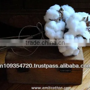 Shankar 6- Raw Cotton thumbnail-1