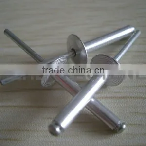 Zhejiang Aluminum Steel Large Flange Blind Rivet thumbnail-1