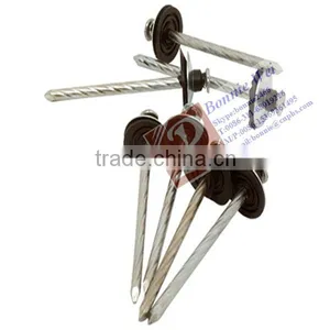 E.G. Umbrella Head ROOFING NAIL thumbnail-1