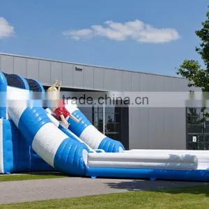 Color Customized Inflatable Water or Dry Slide / Special Design Inflatable Slide for Summer thumbnail-5