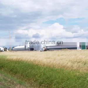 ISO9001:2008 Steel Structure Poultry Farms Eastern Asia for Algeria thumbnail-1