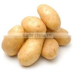 Fresh Potatoes for Sale thumbnail-1