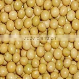 New Dried Soy Bean (yellow Colour Best Price ) thumbnail-1