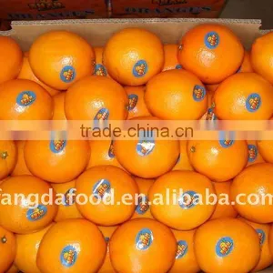 Big Size Orange From China thumbnail-1