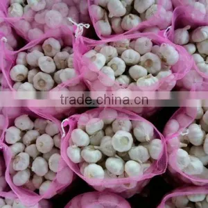Normal White Fresh Garlic With Carton Mesh Bag thumbnail-6