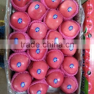 2016 China Red Honey Fuji Apple thumbnail-1