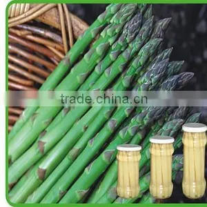 2015 New Crop IQF Green Asparagus thumbnail-4