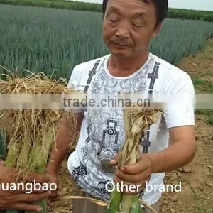 Root Organic Microbial Fertilizer thumbnail-6