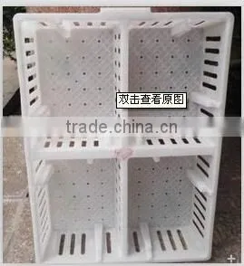 Plastic Circulating Stackable Transport Poultry Cage/Box/Crats for Child Chicken thumbnail-3