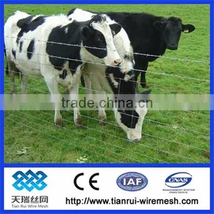 Animal Breed Grassland Fence/ (direct Factory) thumbnail-1