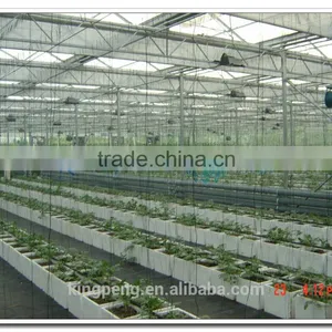 Ultra Clear Float Glass Greenhouse (ISO9001:2000) thumbnail-1