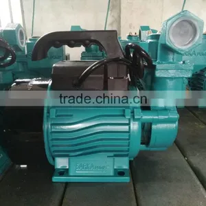 Water Pump 1WZB45 1HP for Iraq Market thumbnail-2